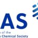 為科學而建造的代理型人工智能 CAS Newton 隆重登場