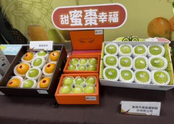 台南蜜棗盛產市府助銷