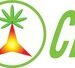 臨床研究顯示 Promentum® Recover 低劑量運動後恢復方案的功效