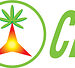已發表研究顯示 FutureCeuticals 的 Caffinity™ 在臨床方面具有顯著的能量、運動表現和新陳代謝效益