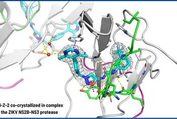 IRBM 公布寨卡病毒藥物研發取得突破