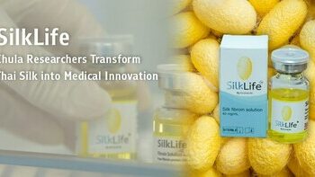 SilkLife：朱拉隆功大學科研團隊將泰絲轉化為醫療創新