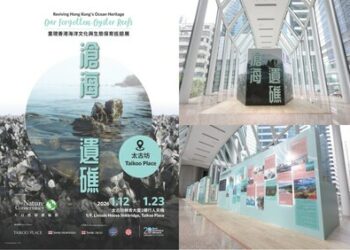 從象徵豐盛走向希望行動–重塑香港海洋遺產