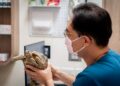 異寵飼養邁入新時代 法規納管之外醫療資源成最大挑戰