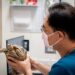 異寵飼養邁入新時代 法規納管之外醫療資源成最大挑戰