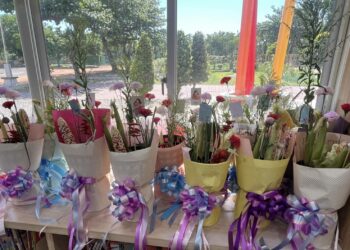 【潮南小手拉大手 星空下的祝福】