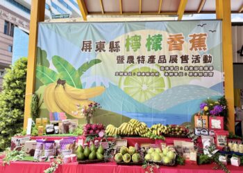 屏東週酸甜登場！檸檬、愛玉DIY清涼消暑 台北希望廣場熱情開賣