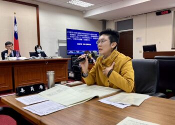 禁止餵食難解遊蕩犬貓問題 林岱樺：減量靠管理，不是靠斷糧