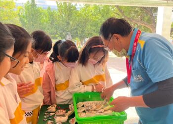 敲開萬年的秘密！四維國小「小小考古家」深入河床挖化石 回校跨領域策展