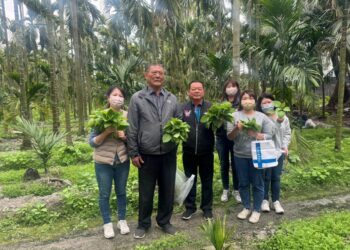 治鄉代表會主席鍾任政分享檳榔園 開放鄉民採摘龍葵(黑笛) 吳亮慶鄉長肯定善舉促進鄉里情誼