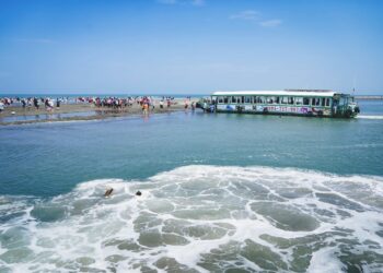 候鳥季來了,嘉義縣文觀局推「鷺境嘉義」親子賞鳥活動