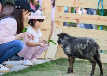 高雄內門「野森動物學校」明年1月試營運 20+種動物老師、森林就是教室,打造東高新地標
