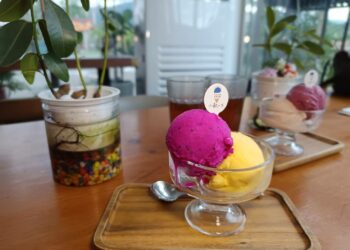 在地滋味．創意上桌~南化小歇冰鋪，年輕夫妻用家鄉水果打造義式冰淇淋新風潮