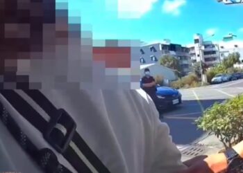 《車手收款楠警逮人 無辜愛犬陪上警車》