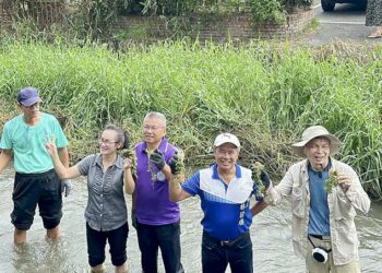 【114年五溝水生態復育活動】萬巒鄉公所攜手民眾守護湧泉生態、傳承客庄文化