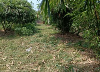 逆象思考的正面能量：愛唱歌的農夫，用汗水慶祝勞動節