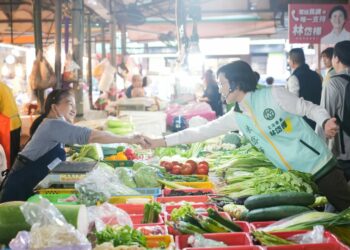 走入大苓市場迎跨年 林岱樺：貼近生活，從市場出發